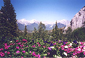 from Banff Springs Hotel deck