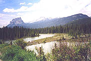 just a roadside view